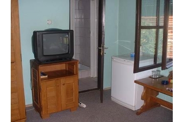 Пансион Sighetu Marmaţiei 3